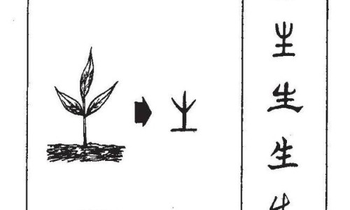 珍珠粉口服禁忌人群-珍珠粉口服主治什么网 - 为你提供珍珠粉口服禁忌人群、口服珍珠粉的用法和大忌
